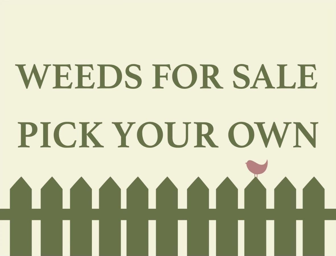 Weeds For Sale Pick Your Own Sign - 20 CM